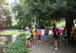 Centri estivi rivolti ai bambini: in Comune contribuisce ai costi di chi li organizza 